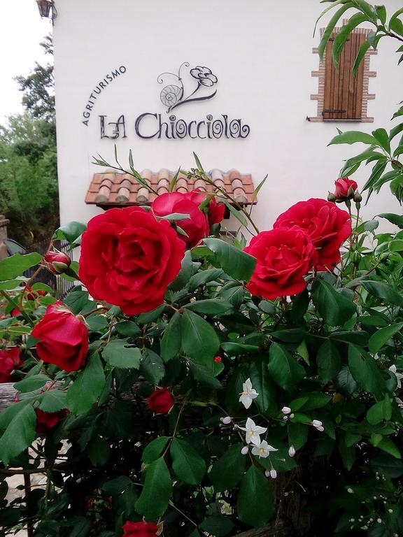 Agriturismo La Chiocciola Poggio Murella Eksteriør bilde