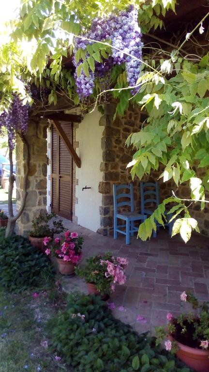 Agriturismo La Chiocciola Poggio Murella Eksteriør bilde